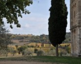 Un Giretto In Toscana  foto 4